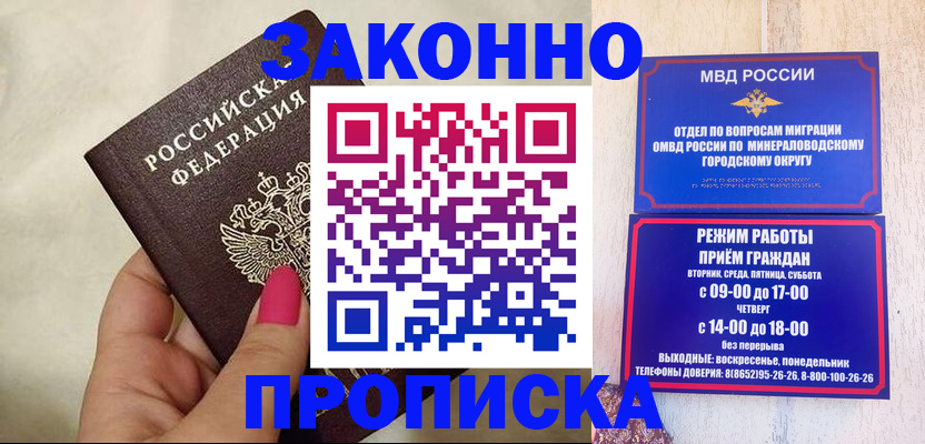 прописка для школы в Электрогорске